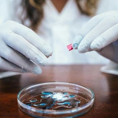 Bacteriófagos: cómo combaten bacterias resistentes