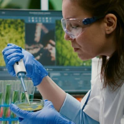 Microcalcificaciones: el hallazgo en la eco que obliga a vigilar tu cuello hoy