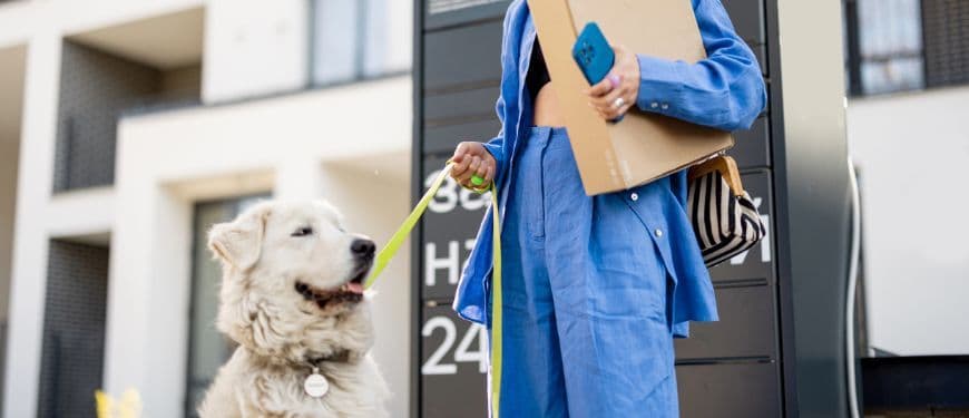 ¡Alerta Mascotas! Por qué NUNCA debes darle ibuprofeno a tu perro