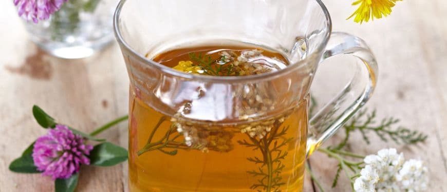 Infusión de flor de jamaica: para qué sirve y cómo prepararla