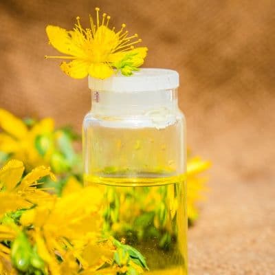 Vitamina E en Aceite de Canola: Antioxidante natural