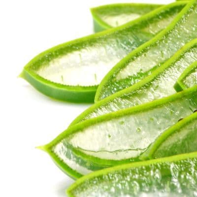 Tu primer botiquín natural: las 5 plantas que no pueden faltar en tu casa