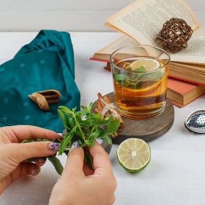 Propiedades de las zinnias en la fitoterapia tradicional para el cuidado digestivo