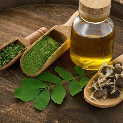 Moringa: La guía completa de esta planta medicinal y sus propiedades