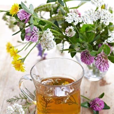 Infusión de tomillo: el remedio natural para la tos y la digestión