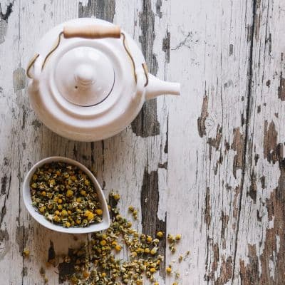 Gordolobo (Great Mullein): la planta para la salud pulmonar