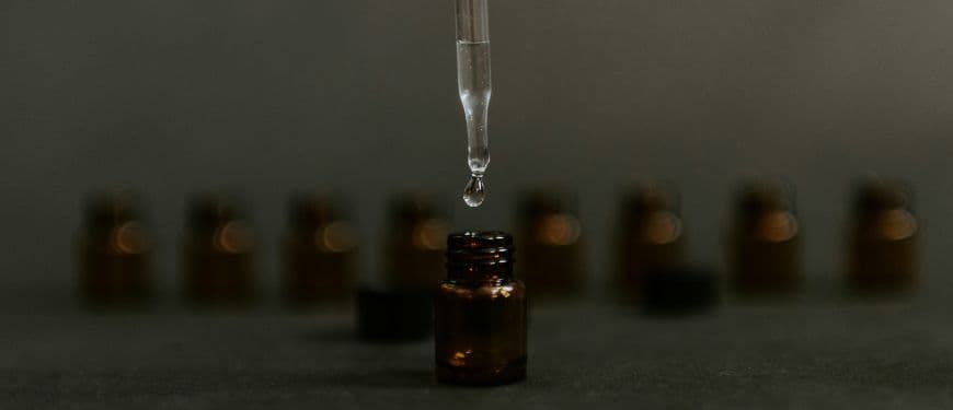 Cimicifuga racemosa: el activo natural más potente contra los sofocos sin hormonas