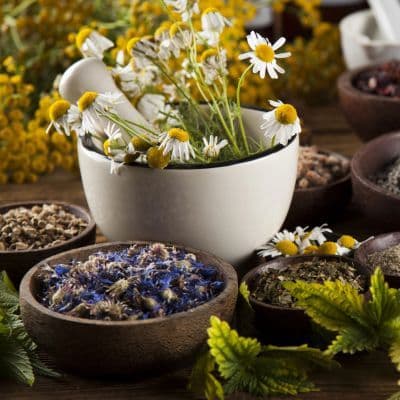 El poder cicatrizante de la lavanda: úsala para calmar quemaduras y piel irritada