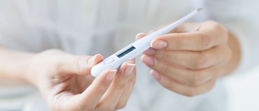 Gordolobo: propiedades medicinales y cómo usarlo correctamente