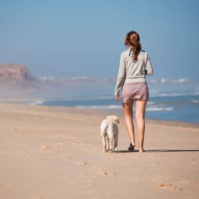 ¡Alerta Mascotas! Por qué NUNCA debes darle ibuprofeno a tu perro