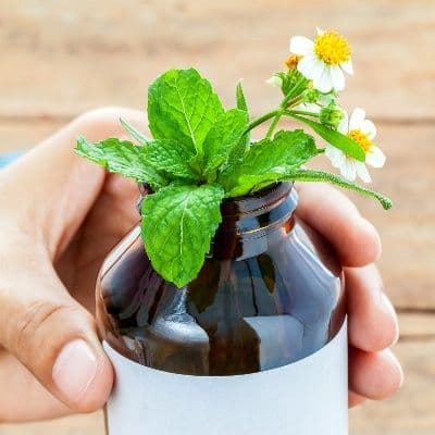 Usos y precauciones de la lantana como remedio natural para la piel