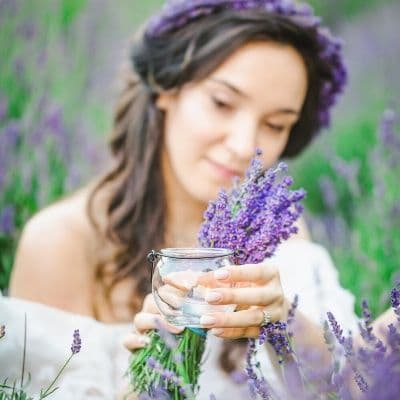 Salvia: propiedades y contraindicaciones